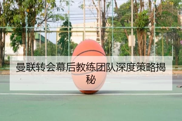 img_1780599220276_408_1_708.jpg